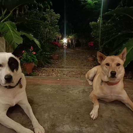 Villa Albizia, Chiang Mai Doi Saket Екстериор снимка