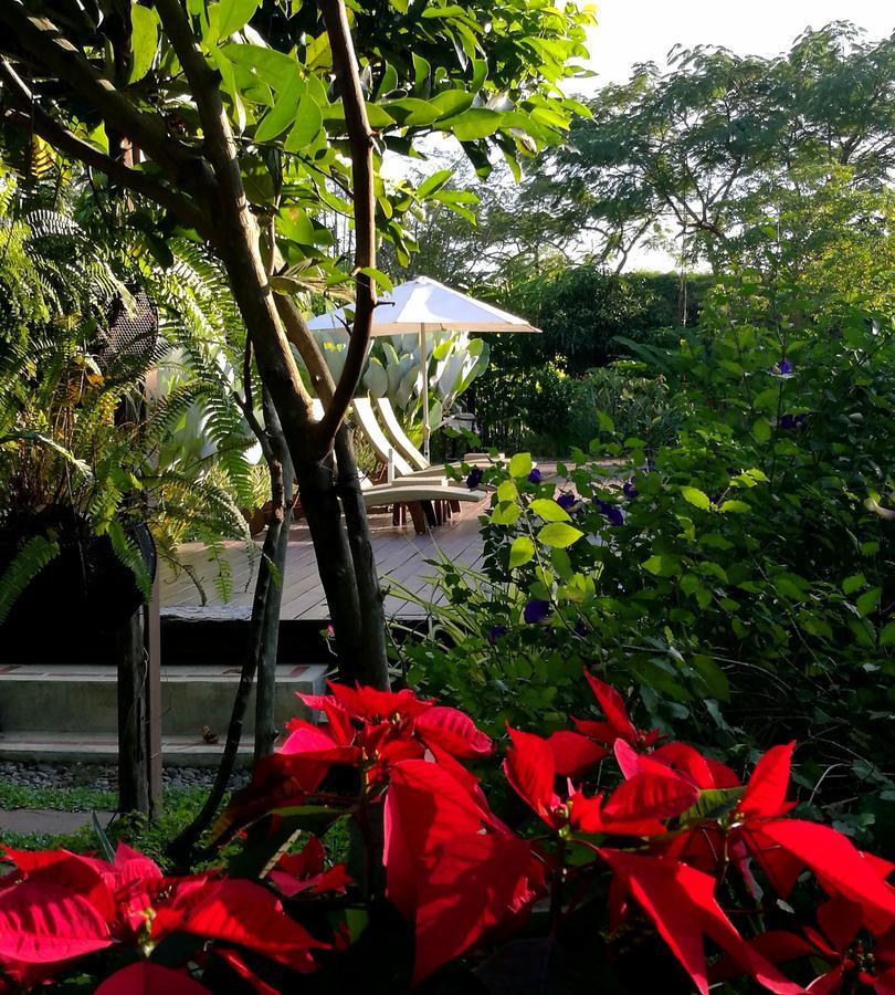 Villa Albizia, Chiang Mai Doi Saket Екстериор снимка