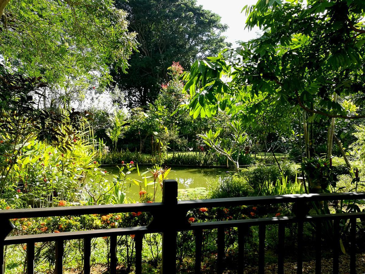 Villa Albizia, Chiang Mai Doi Saket Екстериор снимка