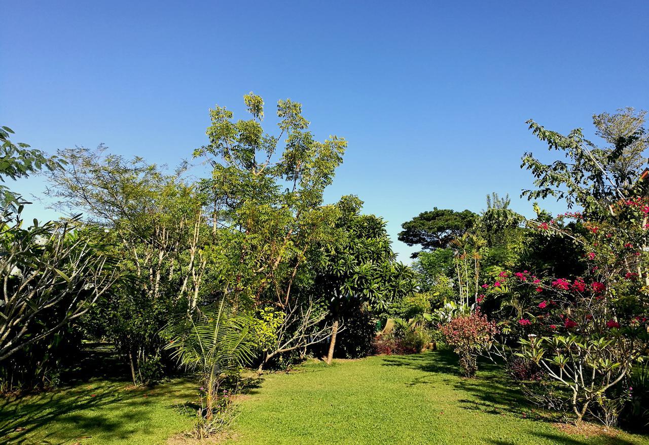 Villa Albizia, Chiang Mai Doi Saket Екстериор снимка